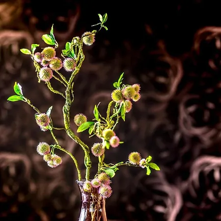 Penthouse Horizont * Husum