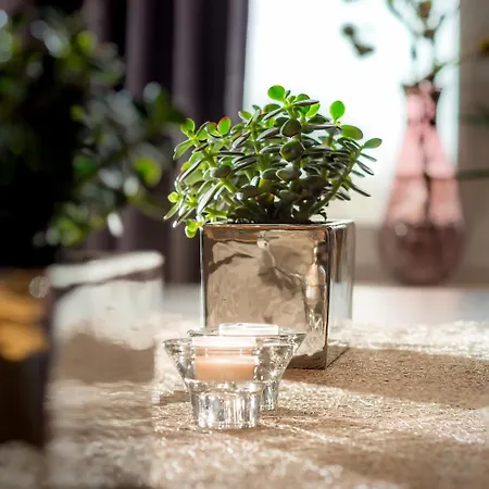 Apartman Penthouse Horizont