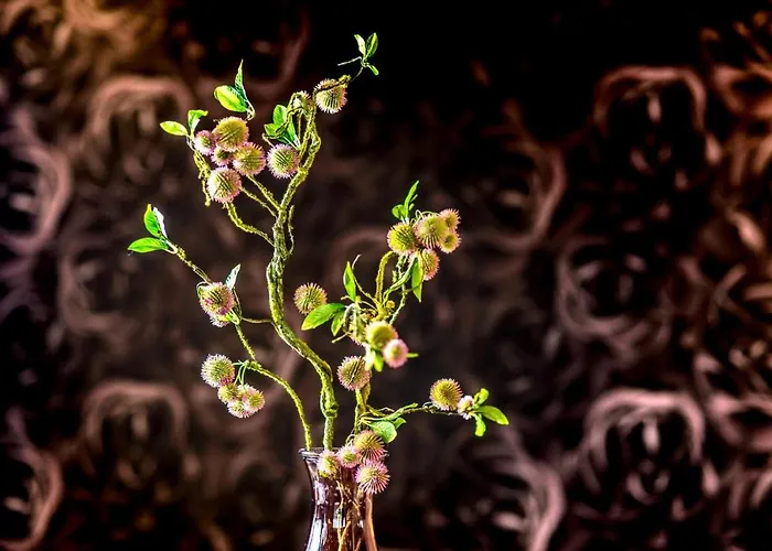 Penthouse Horizont * Husum (Schleswig-Holstein)